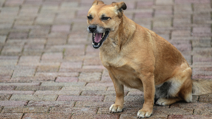 ���������� ����������� �������: ������ ���������, ��������������� ��������� �����, ����� ��������� �� ��������� � ����� ���������������