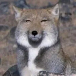 ykut
