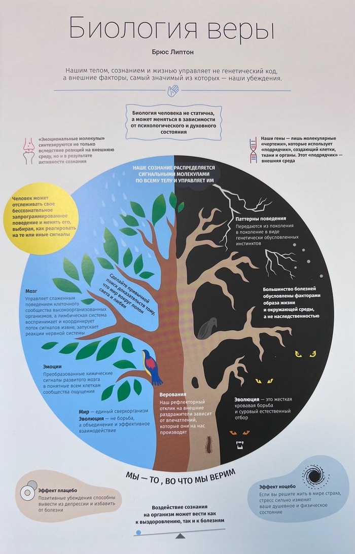 Мы то, во что мы верим