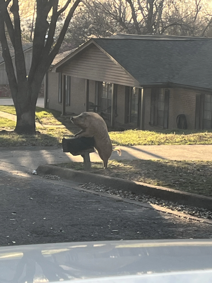 ����� ������ ����� ����������� �������� ����