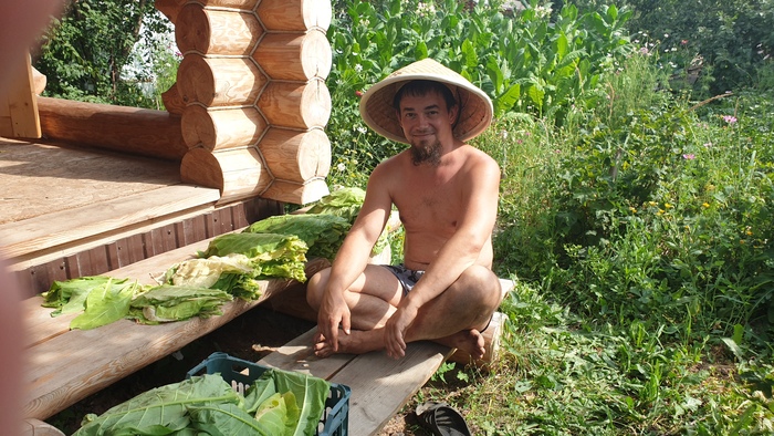 �������� ���������