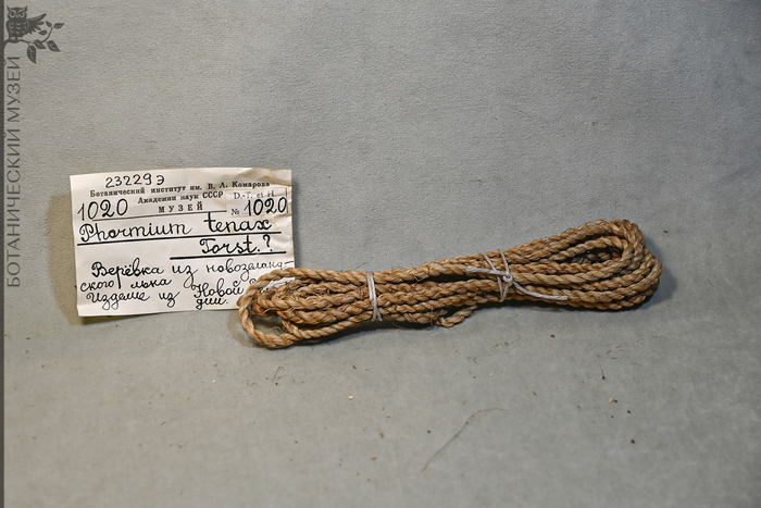 ����� �� ��������������� ����. ����� ������������� ����� ��� ���.