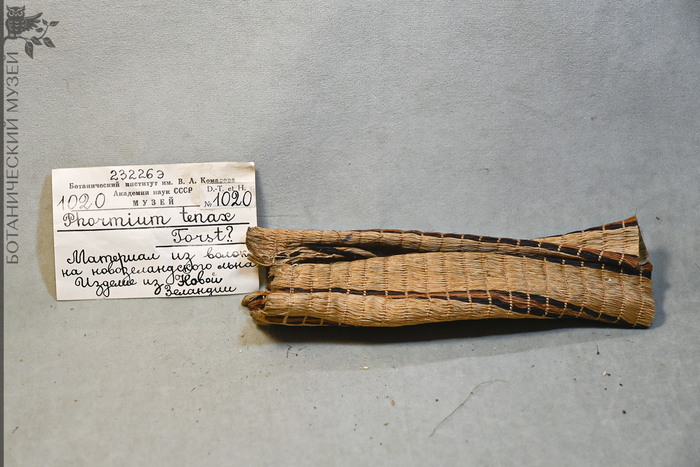 ������� �� ������� ��������������� ����. ����� ������������� ����� ��� ���.