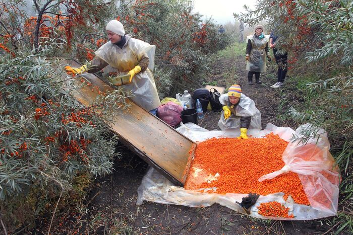 ���� �������� � ��������. ���� � ����� <!--noindex--><a href="https://pikabu.ru/story/oblepikha_13738656?u=http%3A%2F%2Fsb.by&t=sb.by&h=d5ceb6363767945d92298cba92689fa62ec8e20a" title="http://sb.by" target="_blank" rel="nofollow noopener">sb.by</a><!--/noindex-->