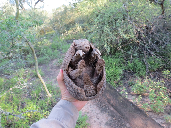 ������ ���������� �������, ����������� ��� ��������� �� �������, �����: "����, ������, ��� � �����!"