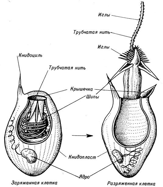 � ��� ���� ������� �������� ������� ����� ���� � ����� ������!