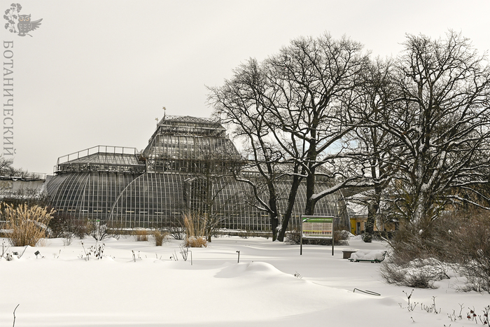Северный двор. Оранжерея № 1