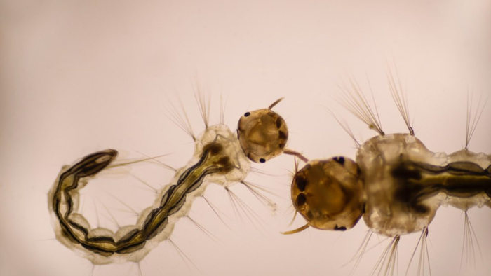 � ��� ������� ��������. � ��� ������� ������ � �� ���������� ���� ������ �������.