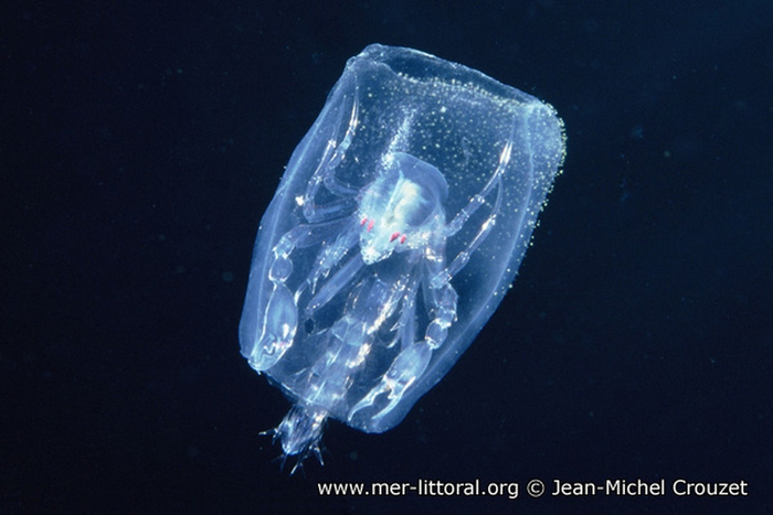 ������� ����� ������: � ������ �� ����� ���������, � � ����������� ���� ������.