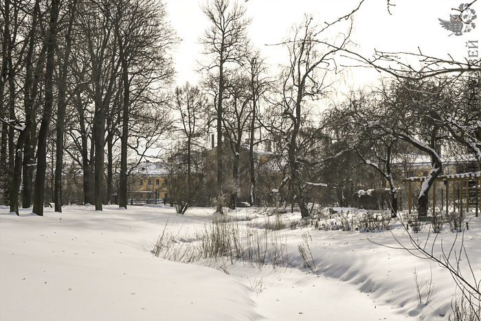 Парк БИН. Прудик. Вид в сторону реки Карповки.