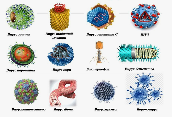 ��� ����� ������? (����� 4)