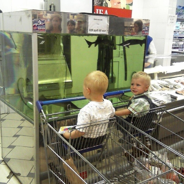 ����� JulyaSoll � �������� � �������Ż