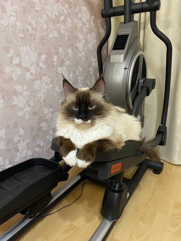 ������� �� ������