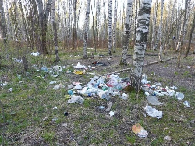 картинка из интернета