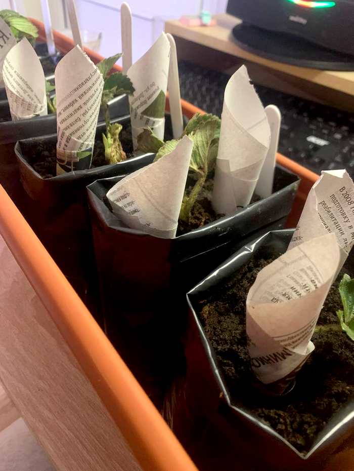 ��� ��� ���������? � � ������ ��� ���� �������