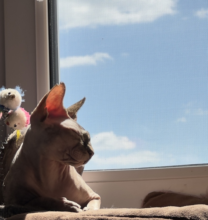 Скоро весна