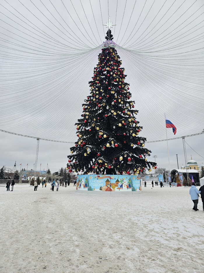 ���������� ���� �� ������� ������� ����