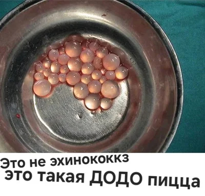 Додо