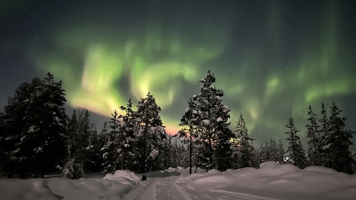 Без штатива, айфон 14 про