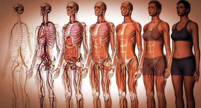 ��������� ������ ��������������: ����������� ��������������� ������ ������������� ���������