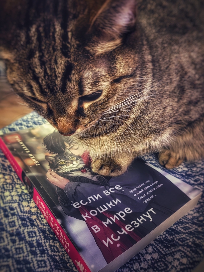 ���� ��� ����� � ���� ��������