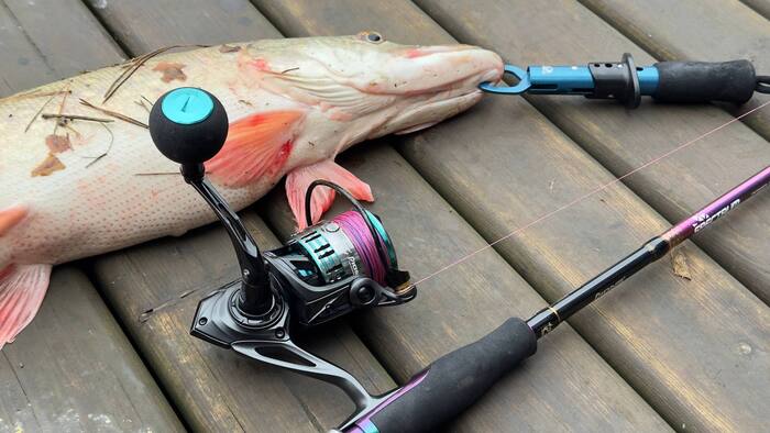 ������� (�� ���)