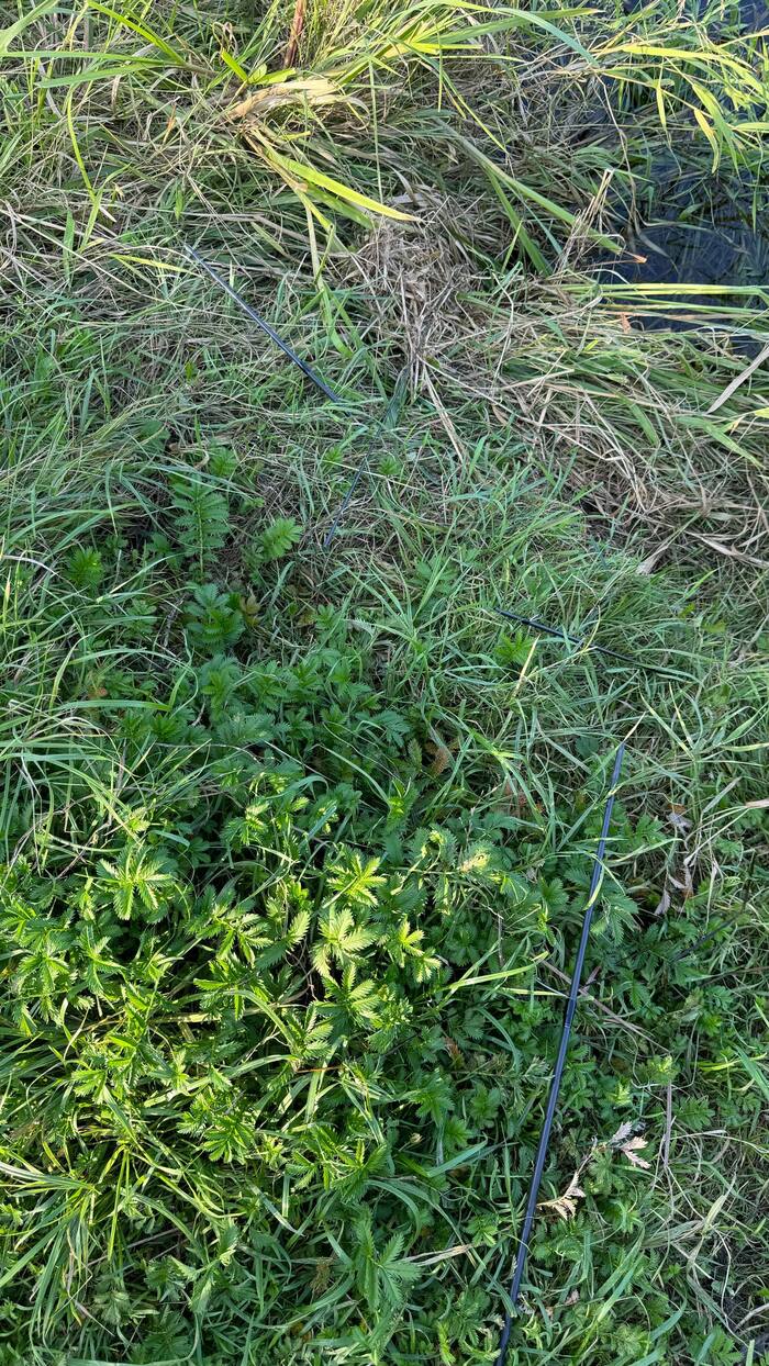 ���� ������������� - �� ������� ����� �������� �� ����� �������� =(