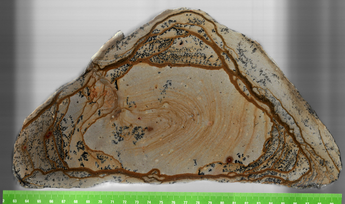 ������ ������, ��������� ������ ����������� �� ���������� ����������� ��������� ������ � ����������� ������, ����������� ��������� ���������.