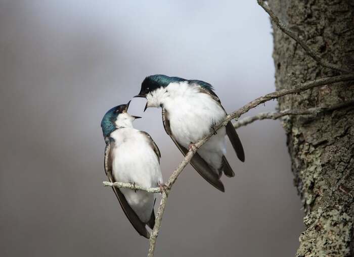 � �� ����� �� ����!