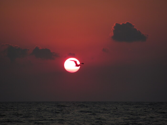 �� ������