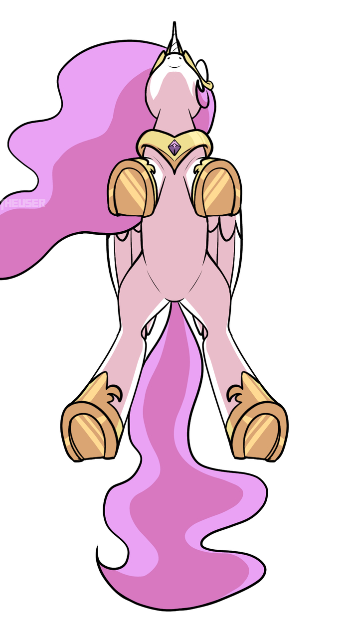 ��� �����