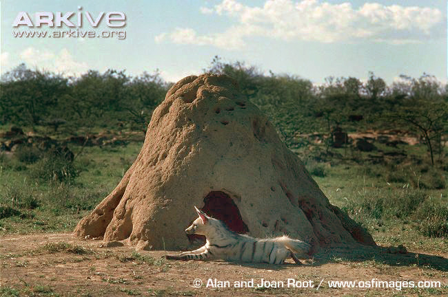 �� ���� ��������� ������, ������ �� ��� �� ����������?