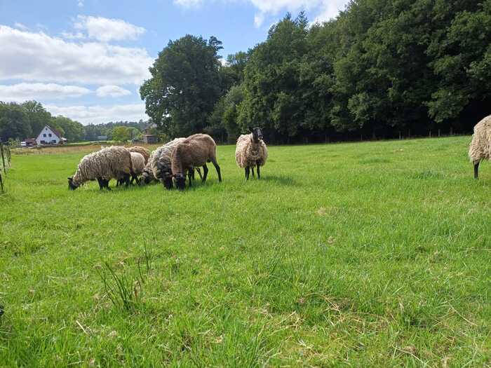 ��� ��� �����, ������� � ���� �������