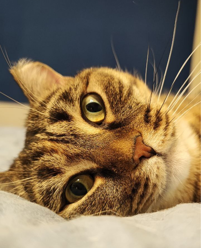 ����� � �����