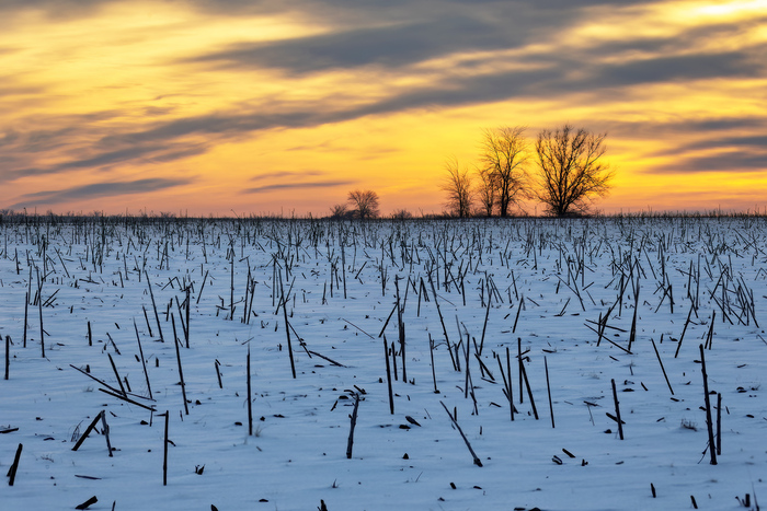 Продолжение поста «Пойти и заблудиться»