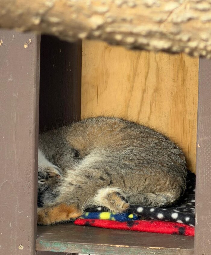 ������ ���� ����