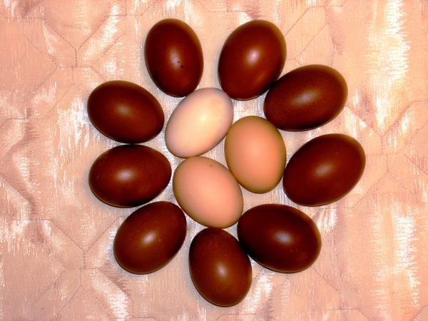 ��� ��� ���� ������ - � ����������� �� �������� ��� ����� ��� ������ � ������ ����, � ��������� ������� ���������, �� ����� ���-���� ��������!