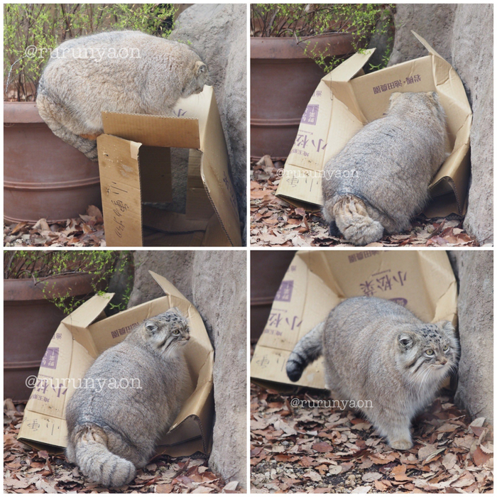 Так, все дела на сегодня переделал ...