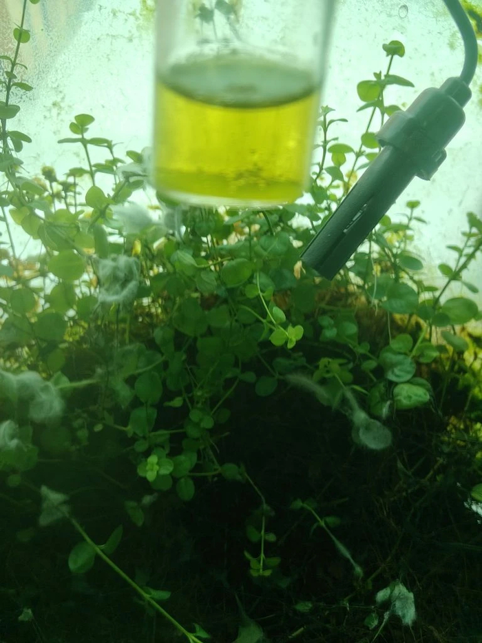 �����-������� �������� - ��������� CO2, ������ ��� - ��������������