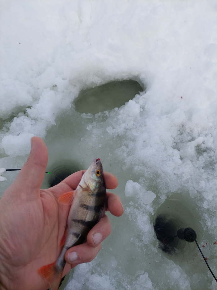 ����� ������, ���������� �����, ��� ����� � ������������, ��� ������� ���������� �������� �������