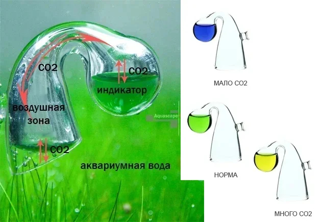 � ��� ������ � �������� ��������� ���� ��������� ����������� ����� � �������