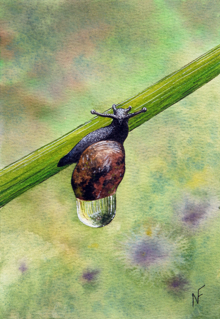 ������, ��������, �������, ������. 13�18��, 2026.