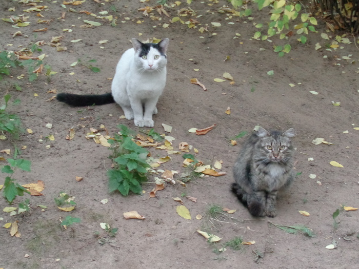 ������� ������?