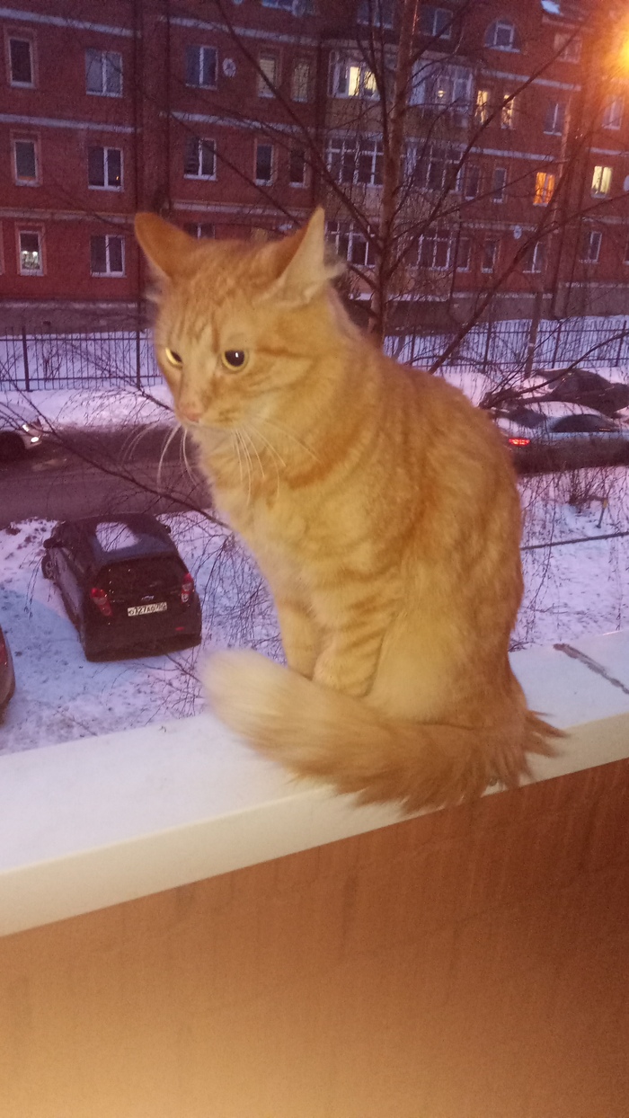 ����, �����, �����