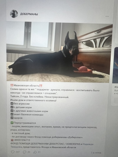 Иллюстрация к комментарию