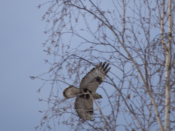 �����✈️