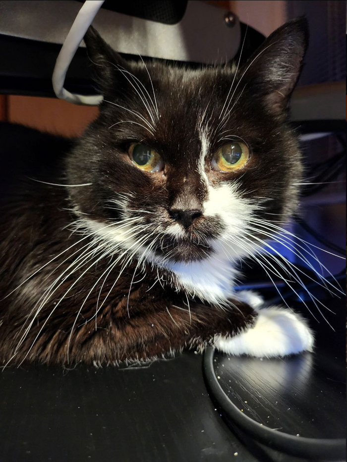 ������� �������� ������!