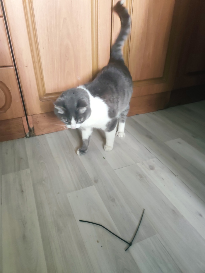 ��� � ��� �� ����� ������ ������ ���� ��� ���������)