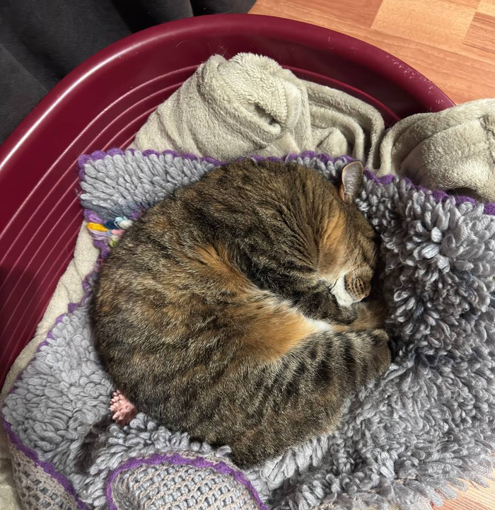 ���� ���� �� ���� �������