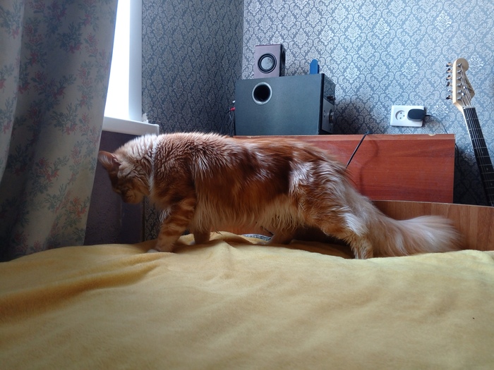 ������ �������